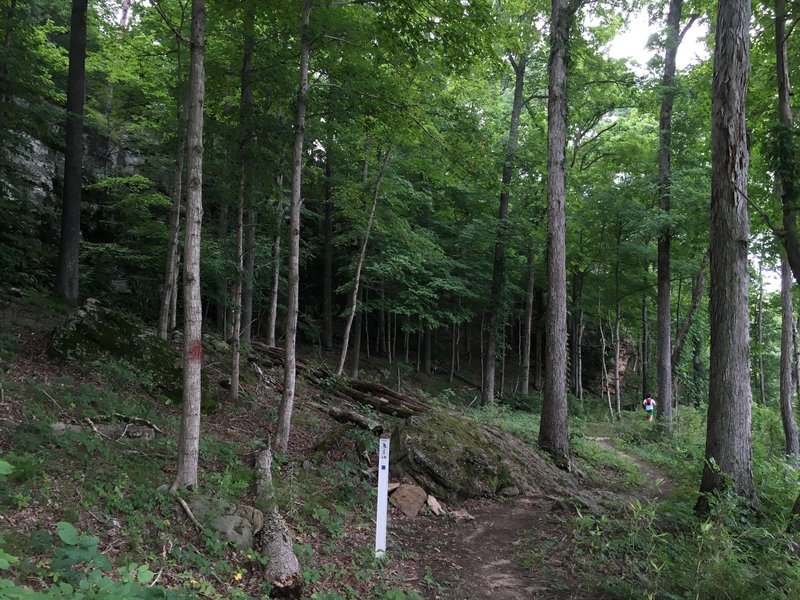 Lakeshore Bluffs Trail and signage.