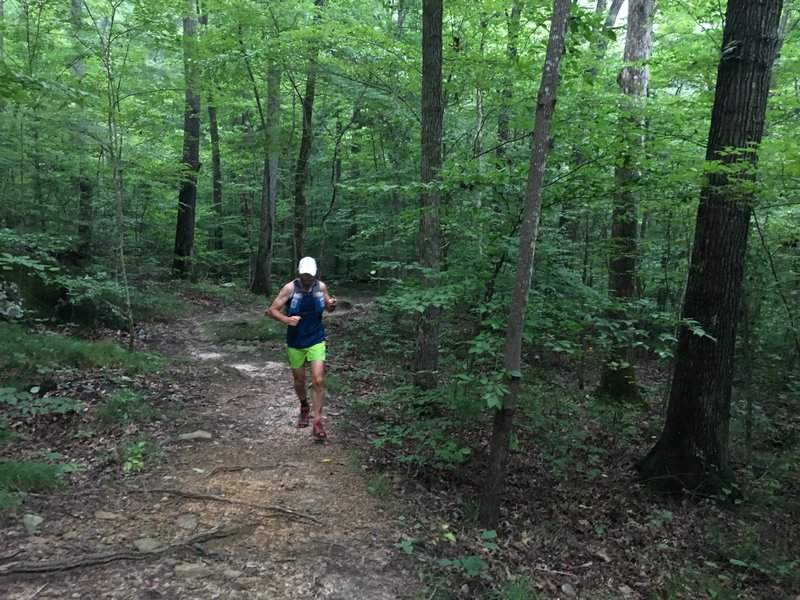 Even after two days of rain, the trails were very runnable!