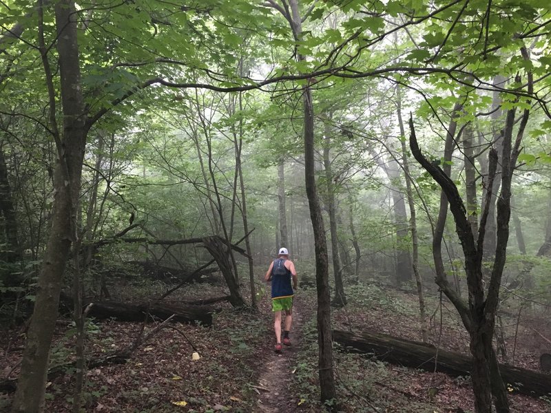 Foggy morning on the Omega Loop,