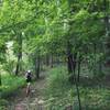 Shannon cruising on the Point Loop.