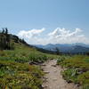The Ellis Peak Trail winding along an alpine ridge-line.