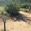 2.5 miles on Douglas Springs Trail to trail signage & intersection. Trail heads south towards mountains.