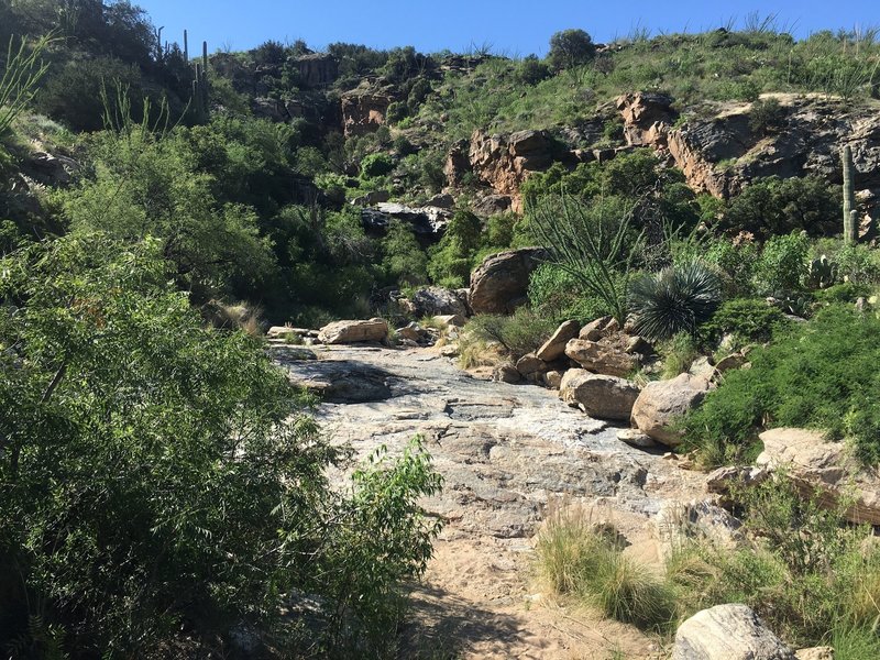 The trail winds around the hillside and enters into the wash. From here you make your way up the slick rock to the falls.