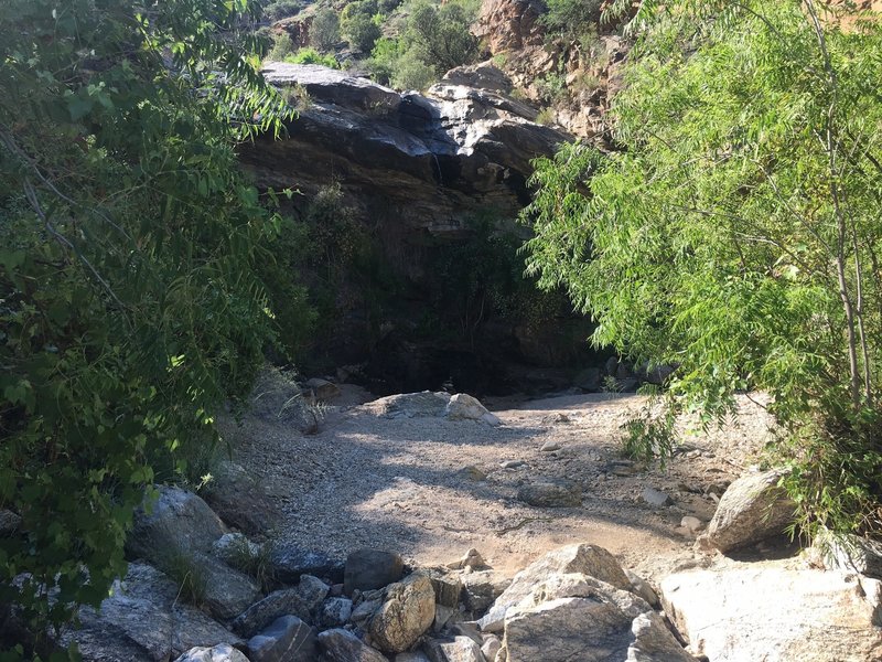 Looking at the falls. There are times when it's wall-to-wall water. A look above the rocks reveals a 3.5 ft garter snake.