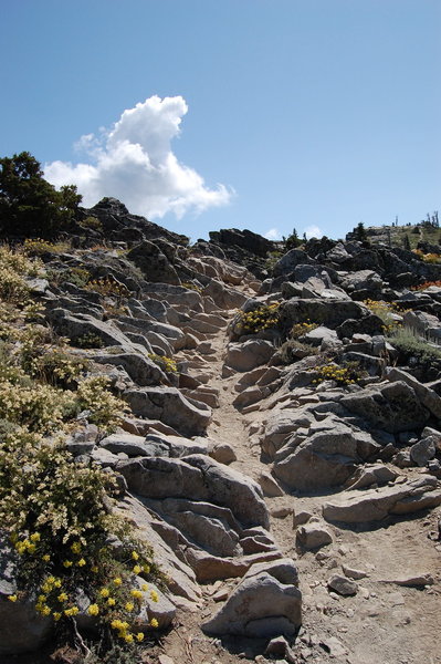Rocky foot-work on the Ellis Peak Trail.