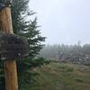 Mount Hale Summit via the Hale Brook Trail.