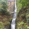 View up toward Multnomah Falls