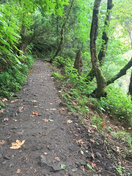 The trail is well maintained, but can be wet from spray