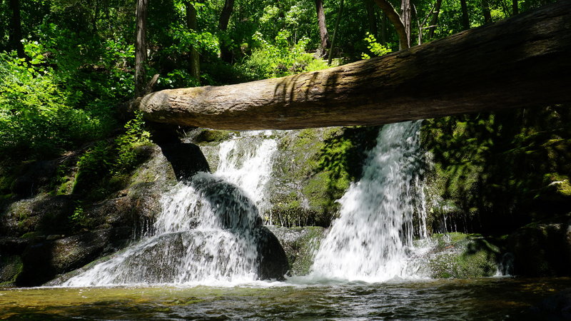 You'll pass by this scenic waterfall on the way to the summit of Mt. Tam.