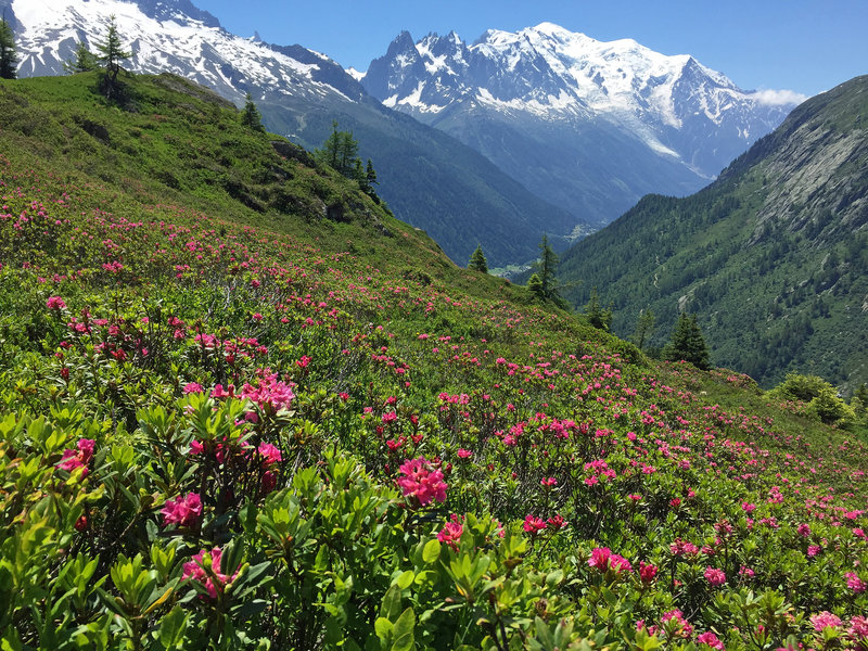 Mont Blanc from the Aguillette des Posettes