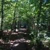 A shaded boardwalk at Fort Caroline.