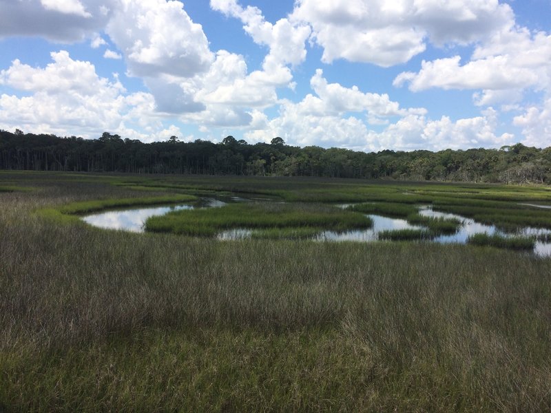 View of the surrounding marsh from an elevated platform.