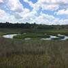 View of the surrounding marsh from an elevated platform.