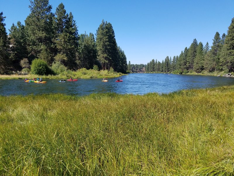 Lots of activity on the river