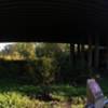 Second bridge, looking out under Hwy 16 and south side of wetlands.