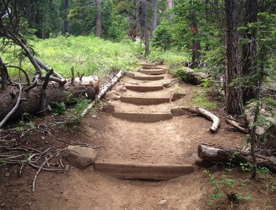 Steps along the trail.