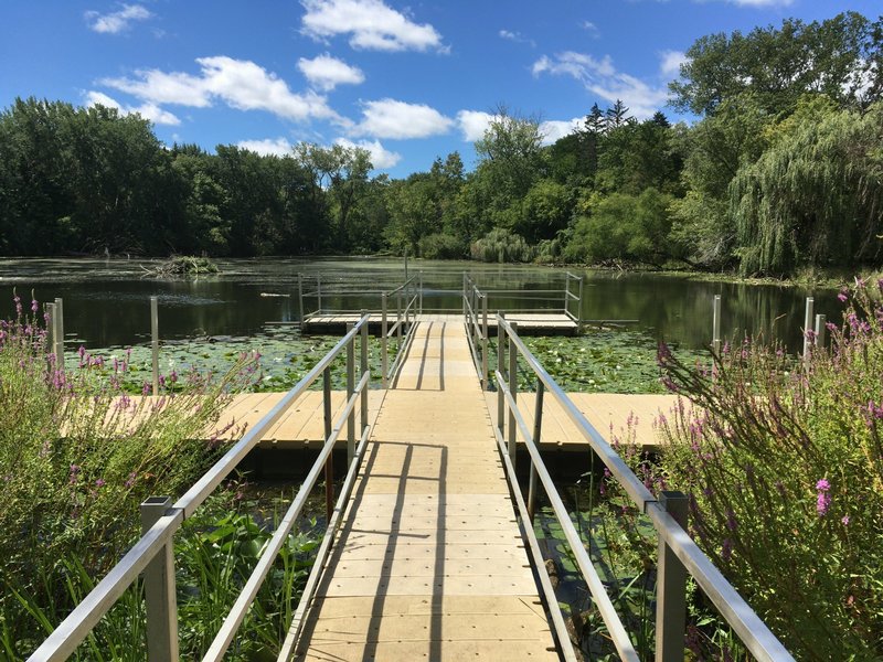 View facing west from floating pier on east side of lake. Spring Valley Nature Center 8/21/16