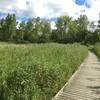 Boardwalk through prairie/marsh. Spring Valley Nature Center 8/21/16