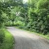 Winding path through forest. Spring Valley Nature Center 8/21/16