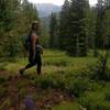 On a sparsely forested section of the Meadows Loop, just above Mid-Vail