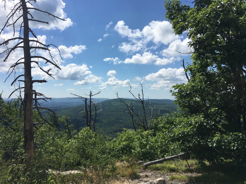 View before the summit.  Wild fresh blueberries along the trail.