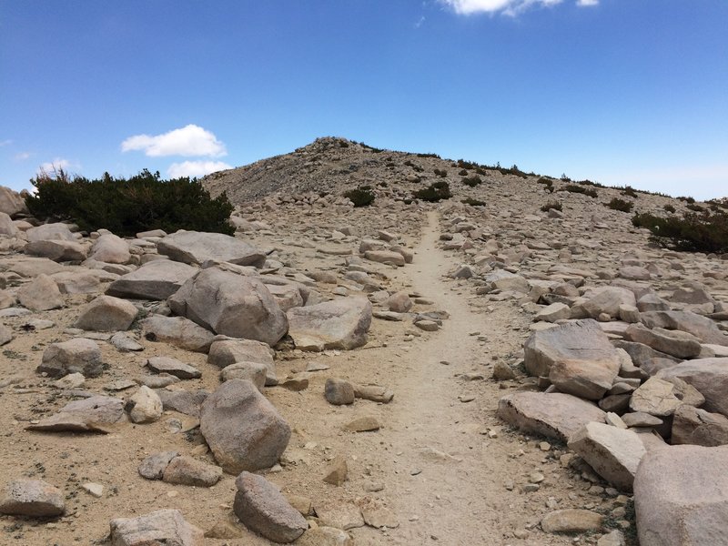 Approaching the summit of San Gorgonio Mountain, a.k.a. "Old Greyback"