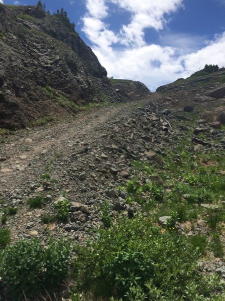 The false pass, into the alpine zone!