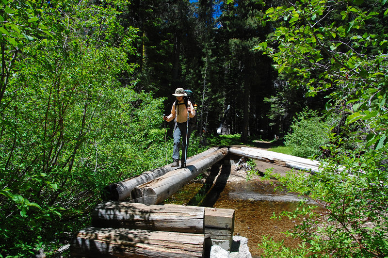 A log bridge helps keep hiker's feet dry as they cross Meeks Creek.