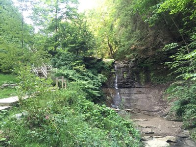 4 of the Best Hiking Trails and Walking Paths Near Butler, PA – Mike Kelly  Hyundai Blog