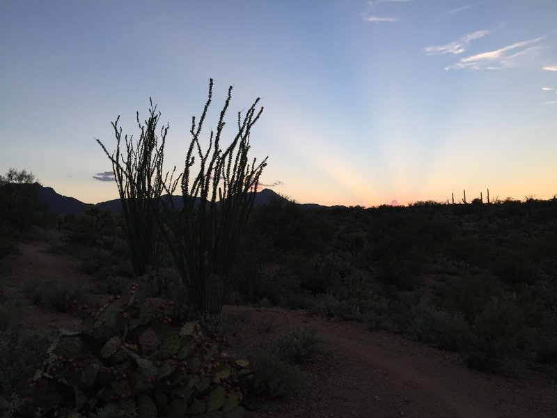 Sunset in the desert.