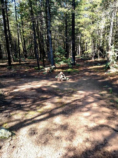 At 3.9 miles, there is this cairn to head left.