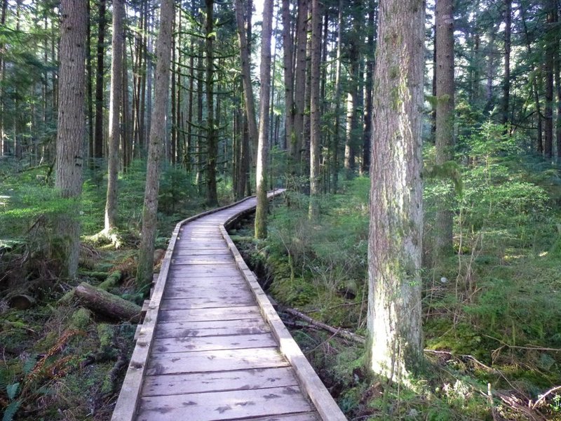A boardwalk section of the Grand Ridge Trail.