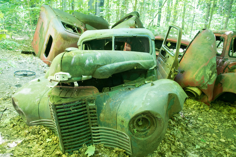 Abandoned logging trucks create their own art.