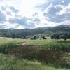 There is beauty for miles and this is only the start of the Ute Valley Trail.