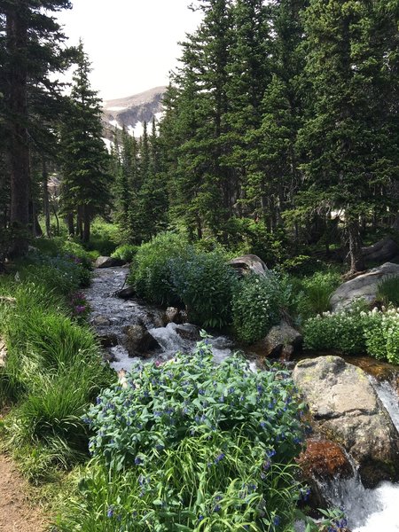 Crossing the creek