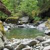 Cheeny Creek provides excellent salmon habitat along Bonanza Trail.  Photo by USFS.