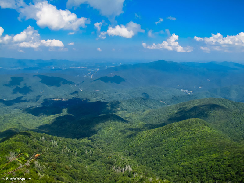 A beautiful view from Mount Cammerer Fire Tower late summer August 2016!