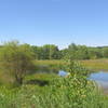 A landscape shot at the trail's midway point.