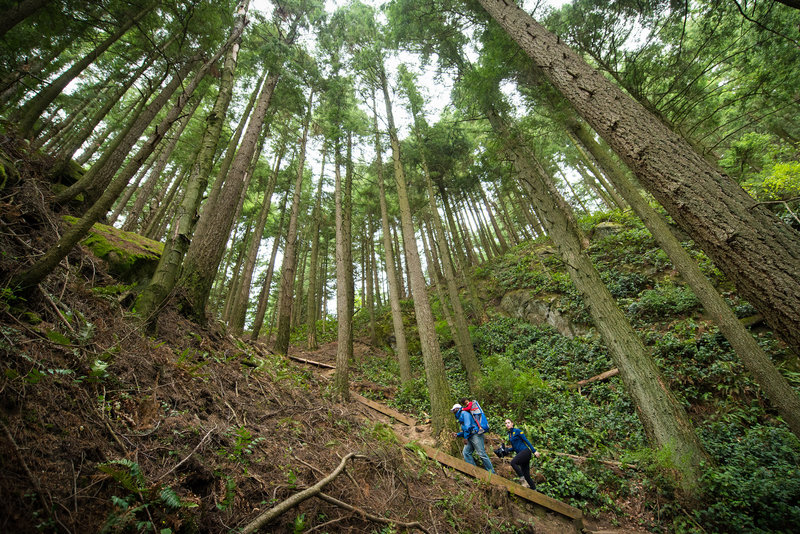 A series of steep steps usher visitors onto a tough, but magical, trail.