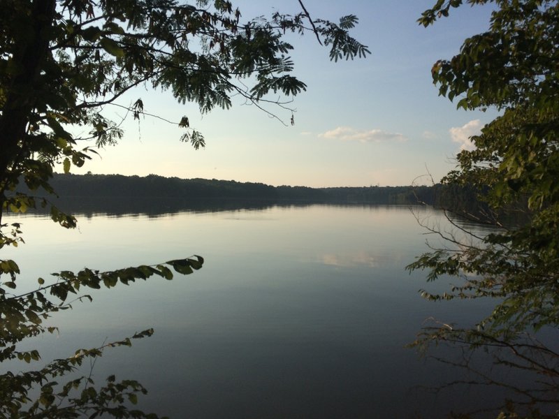 Lake Townsend through a break in the trees.