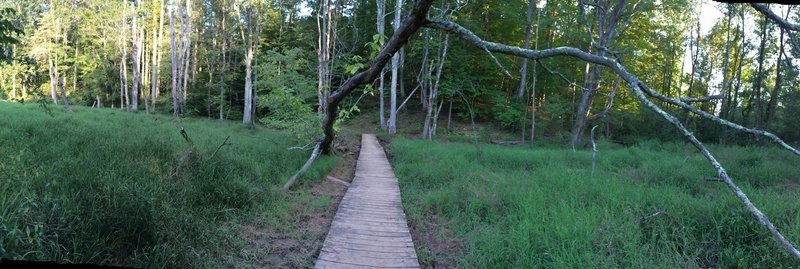 Boardwalk through the wetlands.