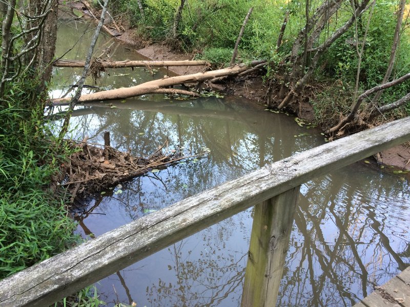 Slow moving creek at the bridge on the west side of the wetlands. To the west - pine forest.