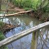 Slow moving creek at the bridge on the west side of the wetlands. To the west - pine forest.