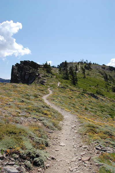 Ellis Peak Trail.