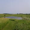 Looking to the north out over the rolling prairie and the pothole wetland.