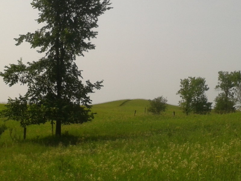 Looking south toward the high point vista.