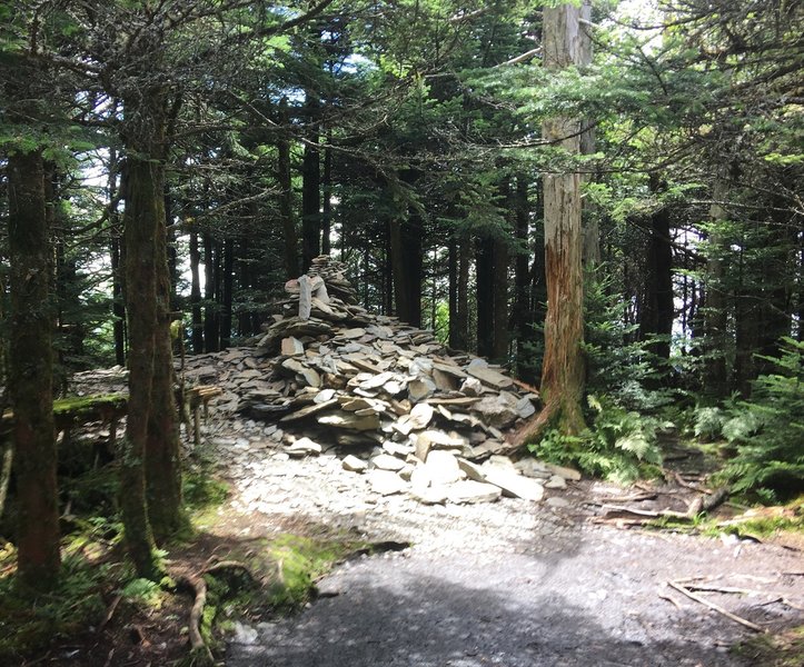 High Top: Mt LeConte.