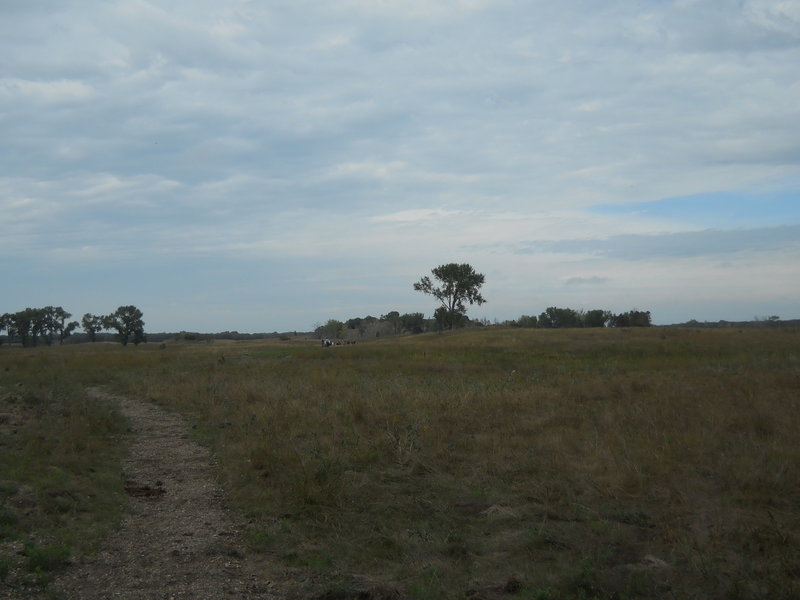 The trail through the open grassland.