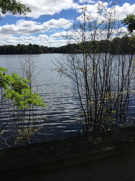 View on South Shattuck Lake.