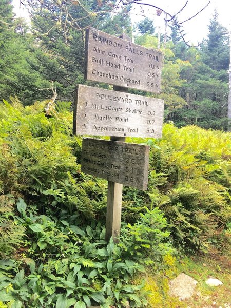 Trail Junction at Mt LeConte.